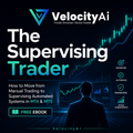 The Supervising Trader