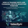 Velocity Trading Framework - Velocity Ai